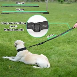 ILII Dog Lead (Black, 140)