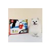 페슬러 Ssdapad King Extra Large 12 Sheets x 2 Packs