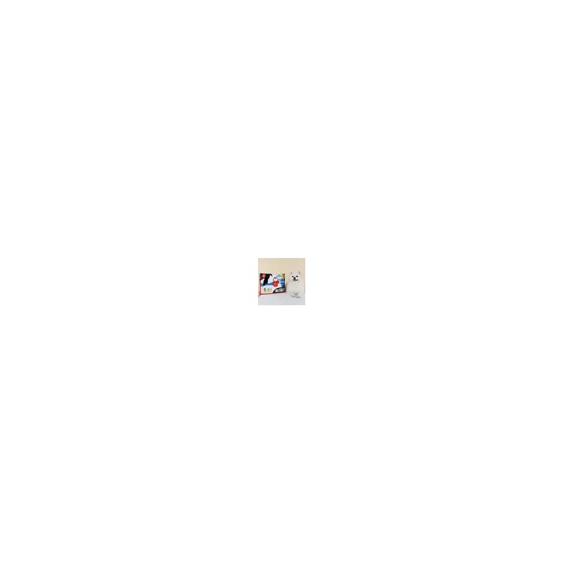 페슬러 Ssdapad King Extra Large 12 Sheets x 2 Packs