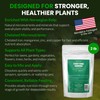 Humboldts Secret Everything Growing 20-20-20 Fertilizer | All Purpose Water