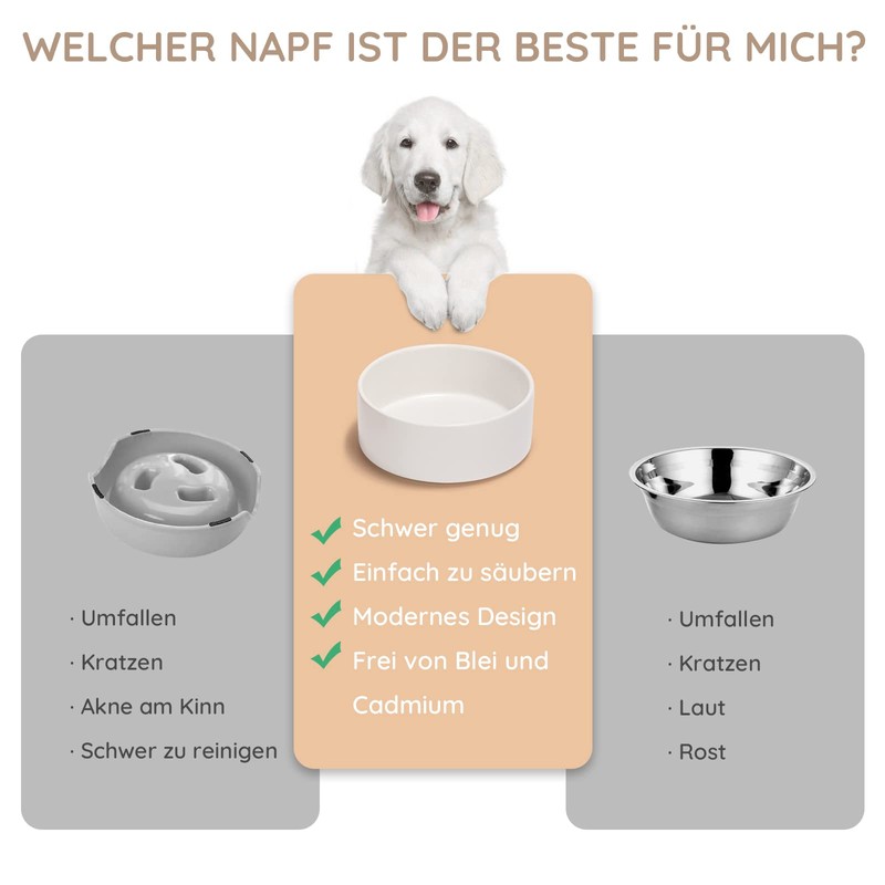 SPUNKYJUNKY Ceramic Dog Bowl Feeding Bowl Cat Bowl for Cats