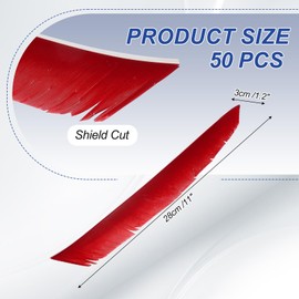 PATIKIL Arrows Vanes, 50 Pack 11 Inch Turkey Feather Arrow Fletching Archery Arrow Feather Right Wing Shield Fletch for DIY Target Shooting, Red