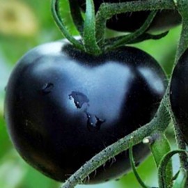 Rare Black Tomato Seeds for Planting Around 20 Seeds