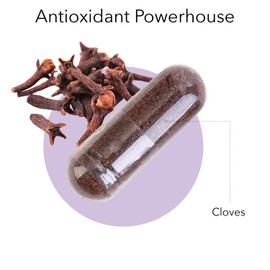 Kroeger Herb Products Kroeger Herb Products, Cloves, Natural Antioxidant, Liver Health, Digestive Clove Supplement - Vegetarian, Non-GMO, Gluten Free, No Preservatives or Fillers - 100 Clove Capsules, Made in US