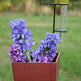 GLOGLOW Outdoor Rain Gauge Set, 2Pcs Retro Garden Decorative Rain Gauge with 5inch Capacity Glass Tube for Garden, Yard Weather Station