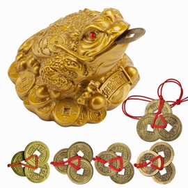 YODOOLTLY Lucky Money Frog- Feng Shui Toad and 5 Sets Chinese Feng Shui Coins Fortune Coin I-ching Coins with Red String Chinese Charm for Prosperity Home Decoration Gift