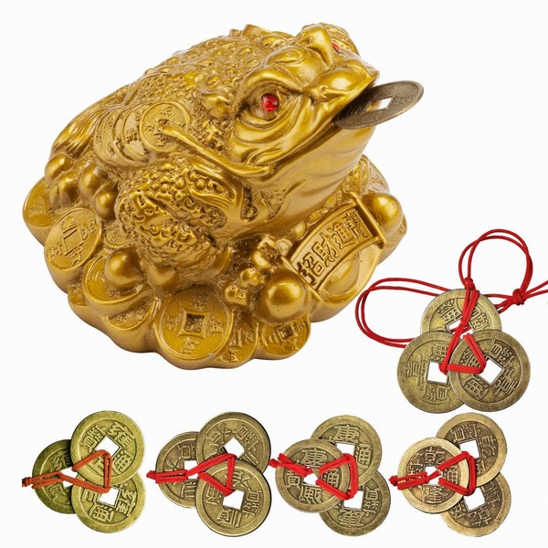 YODOOLTLY Lucky Money Frog- Feng Shui Toad and 5 Sets