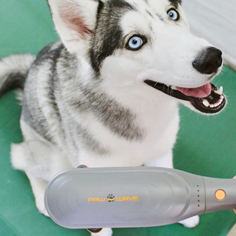 PAW WAVE PERK Percussion Pet Massager for Dogs and Cats