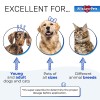 Kennel Cough Relief for Cats & Dogs | Pet Cough