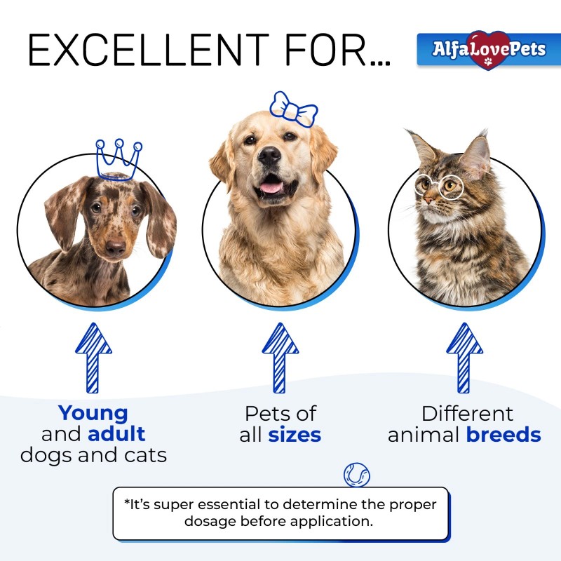 Kennel Cough Relief for Cats & Dogs | Pet Cough