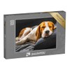 puzzleYOU: Jigsaw Puzzle 100 Piece "Adorable Beagle on the Sofa,