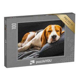 puzzleYOU: Jigsaw Puzzle 100 Piece "Adorable Beagle on the Sofa, Dog" - Dog Puzzle Collection Dogs, Beagle