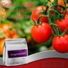 KALIX Magnesium Sulfate Fertilizer | 100% Water-Soluble Epsom Salt |