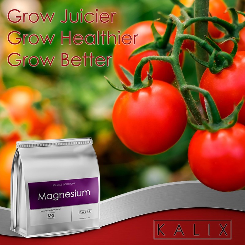 KALIX Magnesium Sulfate Fertilizer | 100% Water-Soluble Epsom Salt |