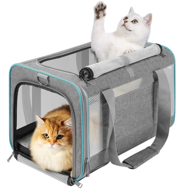 GAPZER Pet Carrier for Large Cats 20 lbs+ / Soft
