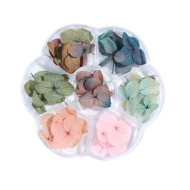 IWOWHERO 50pcs Gradient Maple Leaf Nail Art Dried Flowers for Manicure Decoration Preserved Floral Stickers for Nail Design for Home and