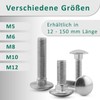 DSM - Carriage Bolts M8 x 16 mm DIN 603