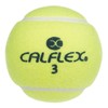 Sakurai Calflex LB-450 Tennis Ball, Hard, Non-Pressure, 2 Balls, Yellow