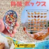 Dekori Shell Display Box Transparent Magnetic Mini Shell Box Waterproof