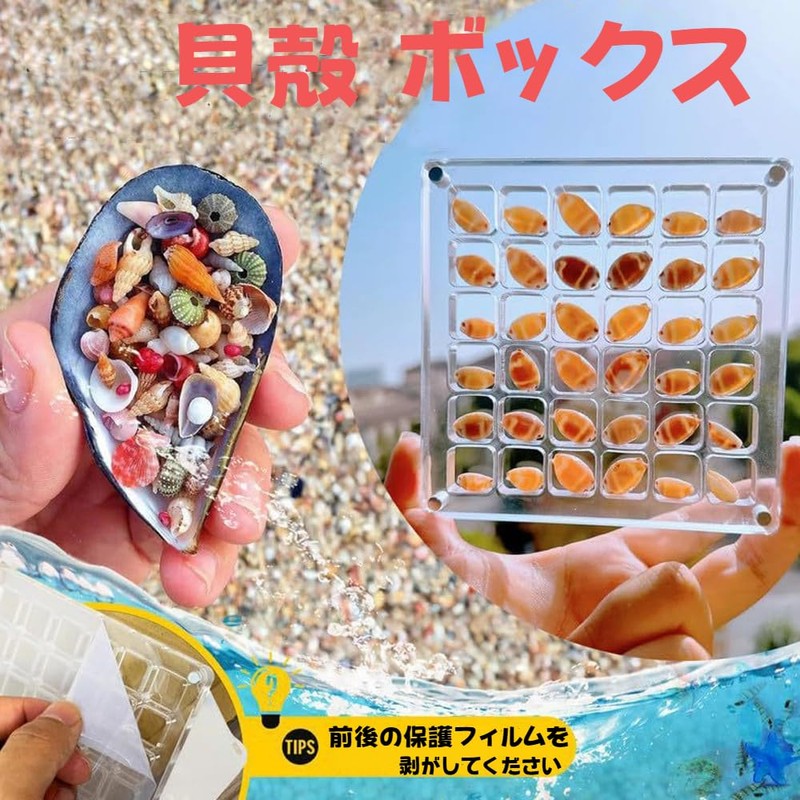 Dekori Shell Display Box Transparent Magnetic Mini Shell Box Waterproof