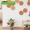 BBTO 6 Set Mini Succulent Pots Bulk with Drainage and