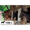 AMKA Saddle protection cover saddle protector saddle cover saddle protector