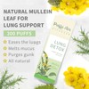 PUFFIAIR Herbal Diffuser Infused with Mullein, Thyme, and Mint for