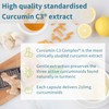Igennus Healthcare Nutrition Igennus Advanced Curcumin C3 Complex, 90 Servings,