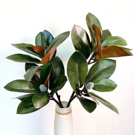 32 Inch Magnolia Artificial Leaves Branches 3D Plastic Printing Houseplant Plant Indoor Outdoor Home Decor (Dark Green - Pack of 2)