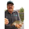 Drennan Sticks