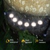 Solar Palm Tree Lights Outdoor Warm Light 3000K, Solar Spotlights