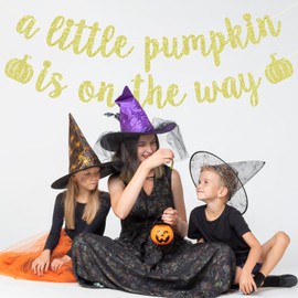 A Little Pumpkin is on the Way Banner, Little Sweet Pumpkin, Welcome Sweet Baby, Baby Shower Gender Reveal 1st Birthday Party Decorations