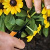 Fiskars 6" Pruning Scissors for Flowers, Buds, Weeds and Small