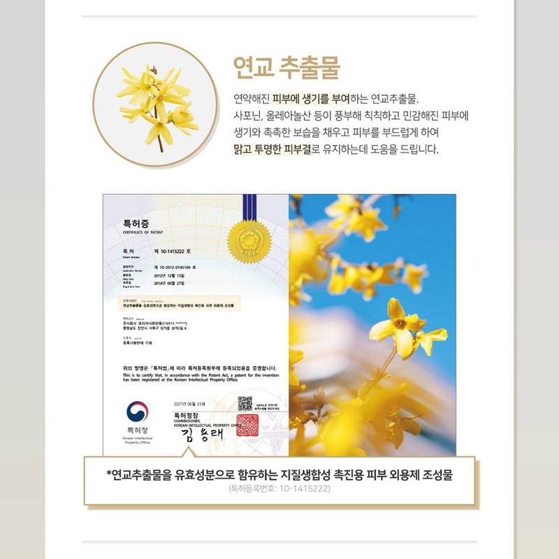 코리아나 로댕쇼 연교 아이크림 30ml 눈가주름케어 아이백크림 3개