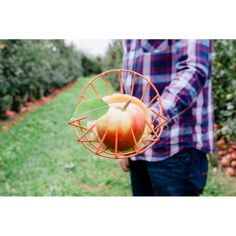 Teal Turtle Professional Apple Fruit Picker (Basket with Wooden Handle,
