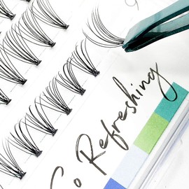 EyeEnvy Express Lash Extensions So Refreshing Faux Mink Individual Cluster Eyelashes (9mm)