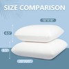 AM AEROMAX 20 ×20 Pillow Insert (Pack of 2) Memory