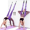 AIMALL Aerial Yoga Rope Door Inversion Belt with Adjustable Straps