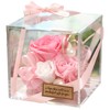 IPFA Preserved Flower Scrunchie Present, Rose, Acrylic Box (Birthday, Wedding