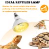 TEKIZOO 100W UVB UVA Heating Lamp Self-Ballasted Bulb Full Spectrum