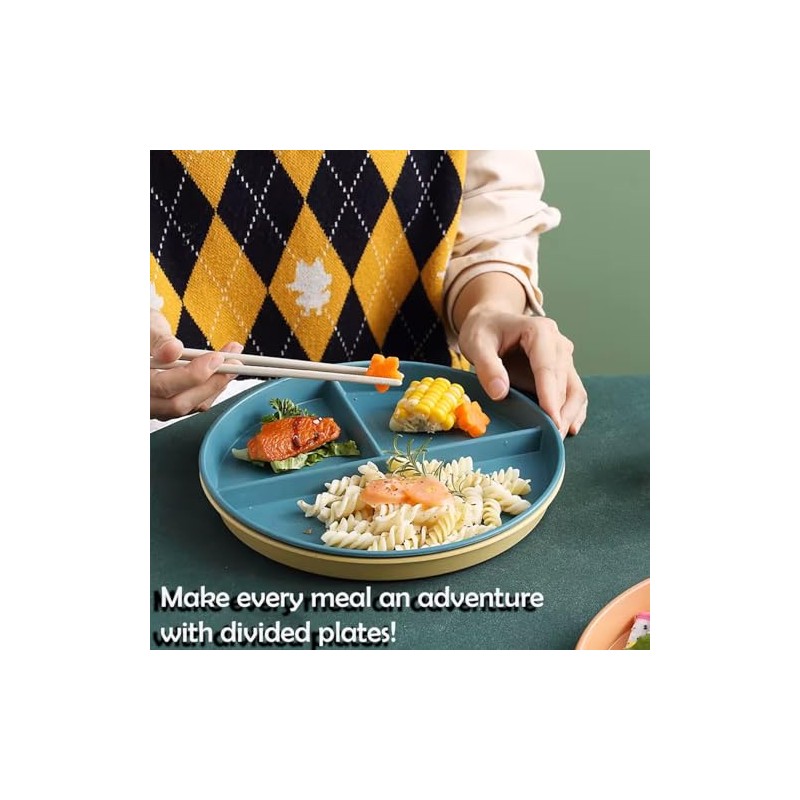 4 Pcs Divided Dinner Plates - Plastic Plates, Picnic Set,
