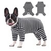 Dog Surgery Recovery Suit Protecting Wounds and Preventing Infection,Medical Suit
