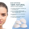 Esponjas Faciales Konjac Limpieza Tratamientos Paquete 100 Naturales Libres Microplásticos