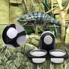FIBOUND Pack of 2 Reptile Feeder Suction Cup, Gecko Feeder,