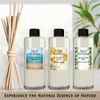 Urban Naturals Lavender & Sandalwood Essential Oil Reed Diffuser REFILL