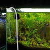Pawfly 20 Piece Black Aquarium Suction Cup Clips 3/16" Airline