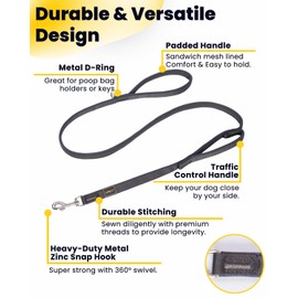 APDEXY Heavy Duty Two Handle Dog Leash, Double Handles for Extral Control and Training, Dual Handles Leads, 6FT Long, Large Medium Small Dogs (Purple/Grey, 3/4'' X 6ft.)