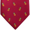 Retreez Funny Pineapple Boy's Tie | Neckties for Boys |