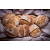 Heritage Sour Sourdough Starter Dehydrated Oregon Trail 150+ Yrs Old