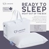 Lincove Canadian Down Feather Travel Pillow - Plush Luxury Pillows
